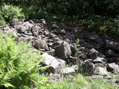 Basaltblockhalden in der Rhön